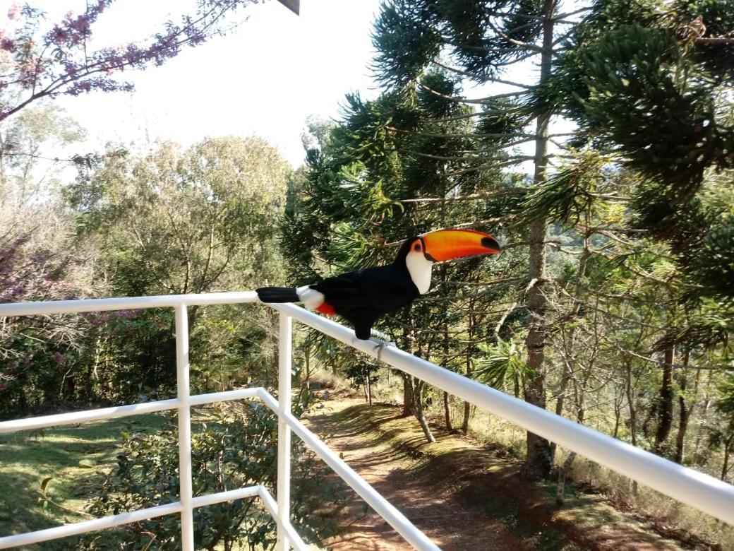 Abrigo Da Reserva Otel Santo Antônio do Pinhal Dış mekan fotoğraf