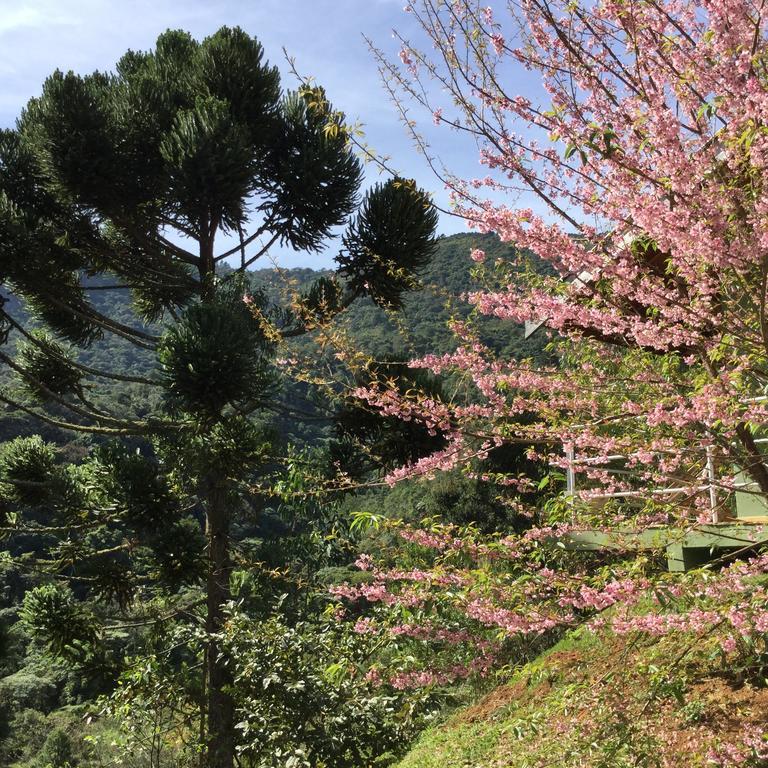 Abrigo Da Reserva Otel Santo Antônio do Pinhal Dış mekan fotoğraf