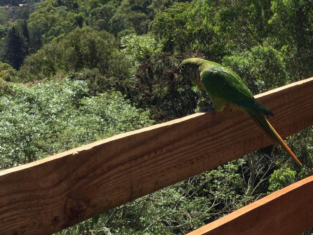 Abrigo Da Reserva Otel Santo Antônio do Pinhal Dış mekan fotoğraf