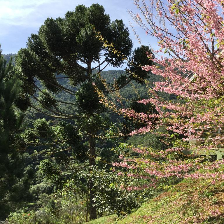 Abrigo Da Reserva Otel Santo Antônio do Pinhal Dış mekan fotoğraf